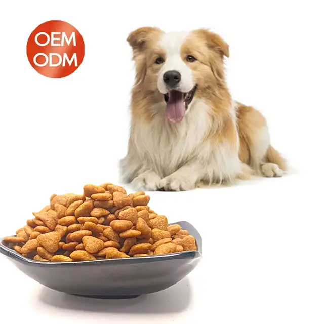 OEM ODM Chinese Dry Pet Food Low Price Various Flavors Multiple Shapes 18% Protein Content for Adult Dogs