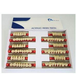 Denti in Resina Sintetica a 3 Strati Denti Finti Acrilici per Protesi Dentale Completa - Product Image 3