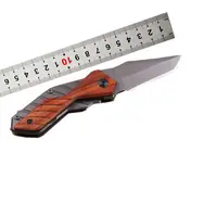 1pc Mini Stainless Steel Folding Knife Portable Fruit Knife Portable Key  Chain Knife Outdoor Folding