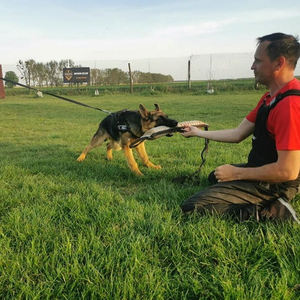 Giocattolo da Tiro Ecologico in Juta Ultra Resistente con Due Maniglie per Cani - Addestramento al Presa e Stimolazione del Morso per Cani Grandi e Potenti - Product Image 6