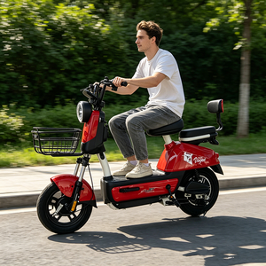 Bicicleta Eléctrica con Neumático de Vacío de 14 Pulgadas, Motor Silencioso de 350W, Suspensión Hidráulica Doble y Batería de Plomo-Ácido - Product Image 5