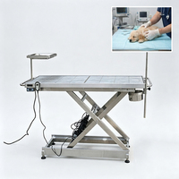 Table d'opération vétérinaire électrique chauffante robuste avec hauteur réglable pour animaux de compagnie