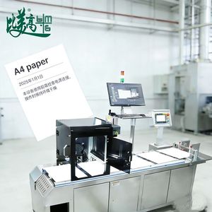 Machine de codage laser de précision avec alimentation et collecte automatiques pour feuilles et sacs individuels - Product Image 1