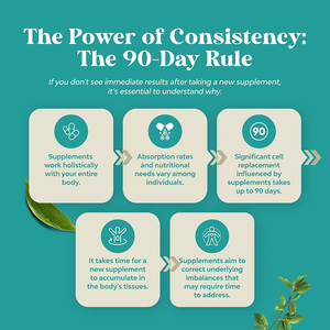 Complément alimentaire naturel pour la santé du foie, marque privée OEM, 60 ml, gouttes liquides détoxifiantes pour nettoyer en profondeur le foie avec du chardon-marie - Product Image 4