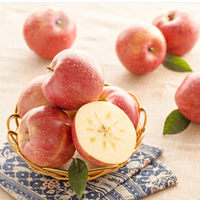 Fabricant de pommes fraîches en Chine Red Gala Fuji Apple