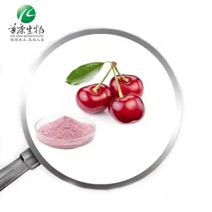 2024 New Products Hot Selling Food Grade Freeze Dried Sour Prunus Cerasus Juice Powder Tart Cherry Extract