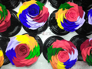 HFlora 4-5 cm 8 Peças/ Caixa Cabeça de Flor Rosa Preservada em Cores Arco-Íris para o Dia dos Namorados e Formatura - Product Image 3