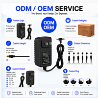Adaptor Daya OEM / ODM AC110-240V Tipe T Konektor Ganda AU EU UK US 5V 3A 15W Colokan Dinding untuk Kamera IP