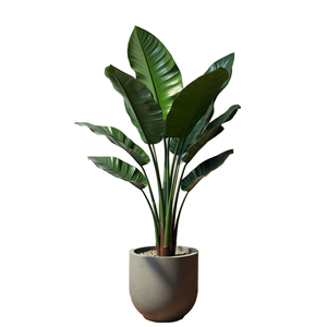 Chất Lượng Cao Du Lịch Của Palm Lá Chuối Cây Nhân Tạo Cho Đám Cưới Nhà Và Giáng Sinh Vườn Trang Trí Nội Thất Cho Thiết Kế Nội Thất - Product Image 3