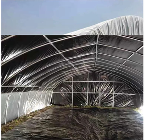 <span class=keywords><strong>Film</strong></span> de protection réfléchissant noir et blanc, 5 m, 10 pieds x 100 pieds, 8mil, pour plante d'agriculture - Product Image 5