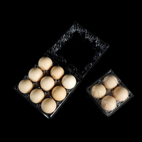 Professional Food Grade CPET Clear Plastic Egg Tray Blister Stackable Anti-Shock Custom Factory Direct Supply