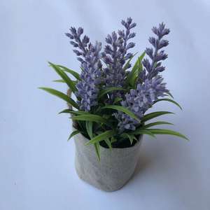 2025 2023 Flores y plantas decorativas Flores <span class=keywords><strong>de</strong></span> <span class=keywords><strong>lavanda</strong></span> <span class=keywords><strong>Bonsai</strong></span> <span class=keywords><strong>Lavanda</strong></span> Flor Boda <span class=keywords><strong>Lavanda</strong></span> Artificial Ramo <span class=keywords><strong>De</strong></span> <span class=keywords><strong>Lavanda</strong></span> - Product Image 5