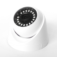 Vente en gros de caméras de sécurité intérieures/extérieures étanches 1080P Vision nocturne couleur DVR Stockage hôte Caméra de vidéosurveillance LED infrarouge BNC