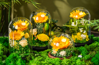 Vente en gros de tournesols éternels faits à la main dans un verre, cadeau de remise de diplôme, cadeau pour la fête des enseignants, fleurs préservées
