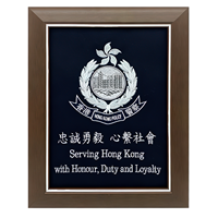 Médaille Shadow Box vitrine en bois pour défi pièces Badges patchs épingles à broder décoration murale cadre de rangement Animal fleur