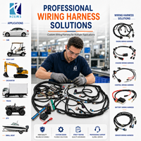 Faisceau de câblage moteur personnalisé pour camion LS1 5.7L 4.8 5.3 6.0 Vortec 99-06 pour échange de moteur 4L60E DBC LS, cuivre étamé, isolation PTFE