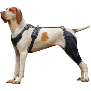 Attelle de genou réglable pour chien avec support métallique pour soulager l'arthrite et les lésions des ligaments croisés antérieurs et postérieurs, protection double pour les pattes - Product Image 1