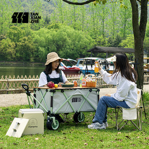 Table de camping pliable Tianxianzhe pour l'extérieur, 98x56x56cm, quatre roues, tissu Oxford gris, rangement pour pique-nique et camping - Product Image 1