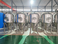 Système de fermentation de bière de cuve de fermentation SUS 304 500L 1000L en promotion