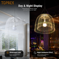 Lampe d'aquarelle décorative en Fiber de carbone, 2 pièces, 60 Cm, éclairage Led haute luminosité stepper, Flash automatique, Toprex décoration, CN/GUA