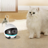 Intelligentes Katzenspielzeug für drinnen mit WLAN-Kamera, batteriebetrieben, Bewegungserkennung