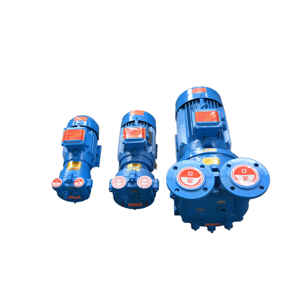 Pompe à vide à anneau liquide horizontale série 2BV de BOYUAN, haute économie d'énergie, personnalisable - Product Image 4