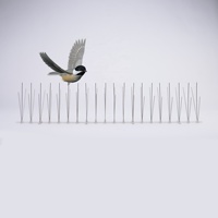 Valla al mejor precio Base de plástico SUS304 Anti Pigeon Spikes Bird Spikes