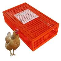 Nouvelle cage de transport robuste pour volailles, en plastique renforcé, caisse durable pour poulets, canards et petits animaux, transport longue distance