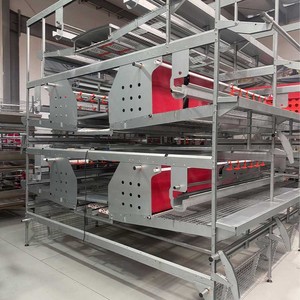 Tự động Gà Thịt gà lồng gà lồng miễn phí phạm vi gà lồng miễn phí cho bán - Product Image 3