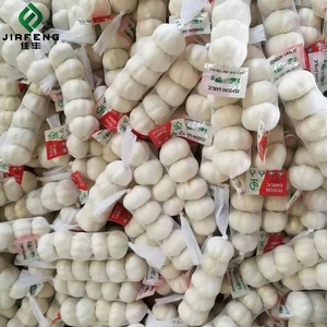 Chất Lượng Cao 5.5 Cm 6 Cm Nhà Máy Tỏi Tươi Giá Số Lượng Lớn Tỏi Để Bán Tỏi Từ Trung Quốc - Product Image 5