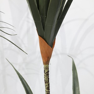 Plante artificielle décorative en pot, haute simulation, à tige fine, type Arbre du sang du dragon, centenaire - Product Image 3