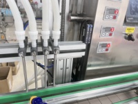Remplissage et capsulage à 4 têtes à grande vitesse Machine de remplissage d'embouteillage d'eau de jus intégrée Liquide Autres machines d'emballage