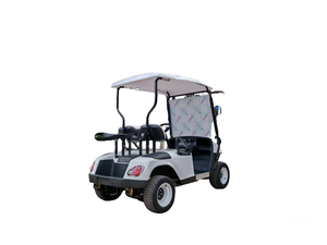 Voiturette de golf électrique semi-automatique commerciale 2 places, économique, véhicule utilitaire (UEV), batterie au lithium 72V en option, accessoires de golf - Product Image 5