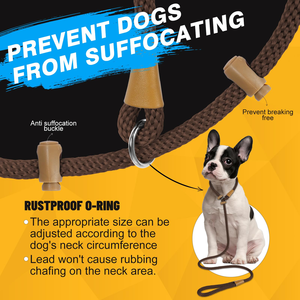 High Quality Classic Heavy Duty Dog <b>Training</b> <b>Lead</b> Leash No Pull Design Polypropylene Durable Pet Leash for Daily Dog Walking - Product Image 3
