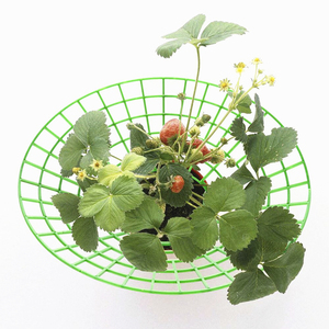 Haute qualité plante légumes Support cadre fraise plante Support support jardinage extérieur fraise plante Support - Product Image 1