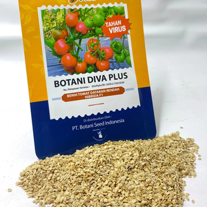 เมล็ดพันธุ์มะเขือเทศไฮบริด Botani Diva F1: ผลผลิตสูง อายุการเก็บรักษายาวนาน ผู้จัดจำหน่ายเมล็ดพันธุ์ - Product Image 1
