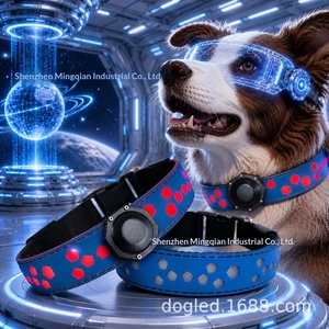 Collar para mascotas estilo princesa con iluminación LED de plástico, el más vendido transfronterizo, desmontable, con <span class=keywords><strong>grabado</strong></span> personalizable para <span class=keywords><strong>Airtag</strong></span> - Product Image 4