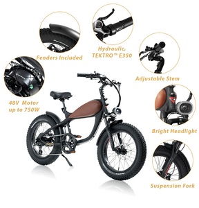 Bicicleta Eléctrica de Primera Calidad Directo de Fábrica, 500W, Neumáticos Todoterreno, para Uso Fuera de Carretera - Product Image 3