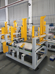 Máy Rút Pallet Tự Động Xếp Chồng Pallet Trực Tuyến Với Hệ Thống Băng Tải - Product Image 3