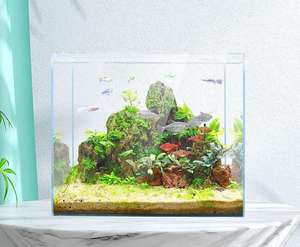 <span class=keywords><strong>Aquarium</strong></span> de bureau moderne et écologique en verre carré ultra-transparent de qualité supérieure pour salon et chambre à coucher - Product Image 2
