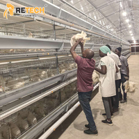 Vente d'usine Retech : Système de cages en H pour 25 000 poulets de type pondeuse, design moderne, pour ferme avicole au Kenya