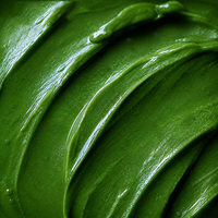 Poudre de thé Matcha biologique japonais de qualité cérémonielle certifiée Halal en vrac pour la vente en gros, idéale pour les cafés et restaurants