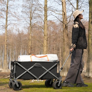 Carrito de Compras Plegable Resistente para Exteriores, con Estructura de Acero Inoxidable, Compatible con OEM - Product Image 6