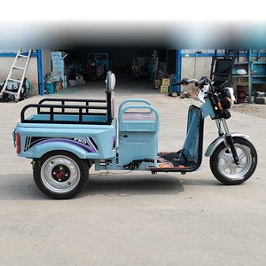 Tricycle <span class=keywords><strong>Cargo</strong></span> <span class=keywords><strong>Électrique</strong></span> Polyvalent Mini 2025 pour Personnes Âgées à Vendre - Product Image 4