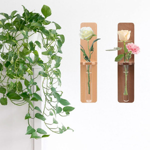 Tube de Station de Propagation de Plantes avec Support en Bois Vase Décoratif Mural Hydroponique Plante Suspendue Terrarium Jardinière en Verre - Product Image 2