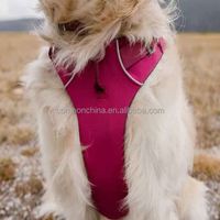 Harnais tactique en nylon confortable et anti-traction pour chien, idéal pour l'entraînement et la promenade, tailles S/M/L, ajustable, pour animaux de compagnie