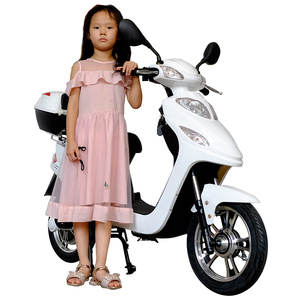 batería <span class=keywords><strong>moto</strong></span> eléctrica bicicleta eléctrica adulto entrega de bicicleta eléctrica - Product Image 1