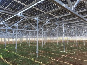 Investimento Futuristico in Accumulo Solare da 200KW 300KW 500KW 100KW per l'Espansione dell'Agricoltura - Product Image 3