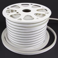 Tira de diodos emisores de luz LED flexible, impermeable, de luz blanca cálida, 220 voltios, con luz.