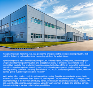 <span class=keywords><strong>BNM</strong></span> ZDFG P3204 ZCEW P3200 P3202 sfera profilatura naso fresatura cavità fresatura CNC angolo raggio fresatura inserto finitura - Product Image 4